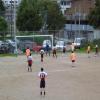 images/stories/quince/14golnoboa.jpg